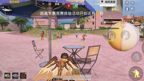 和平精英辅助效果图1